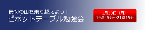 最初の山を乗り越えよう！1/30 ピボットテーブル勉強会